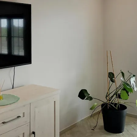 Pet Friendly In With Sauna *