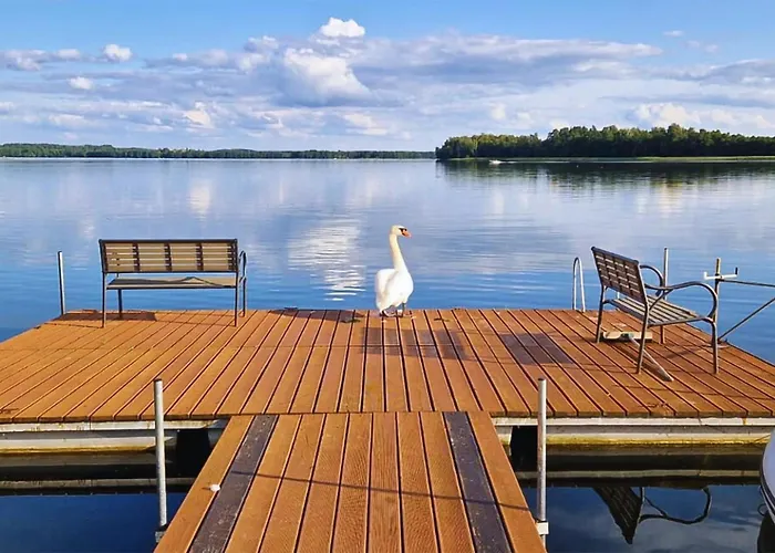 Apartment Pet Friendly In With Sauna